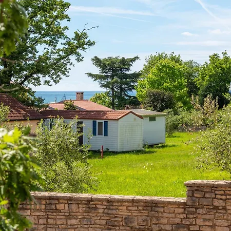 Querchus 7 With Private Pool Apartment Novigrad Istria